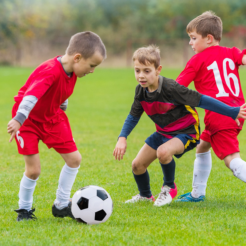 1Set Gawang Sepak Bola Mini Po - Training Net Mini ulasan dan harga